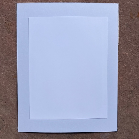 Yellow Daisy Eyes Skull Matted Art Print by Gold Tooth Designs; NWOT - Picture 2 of 4